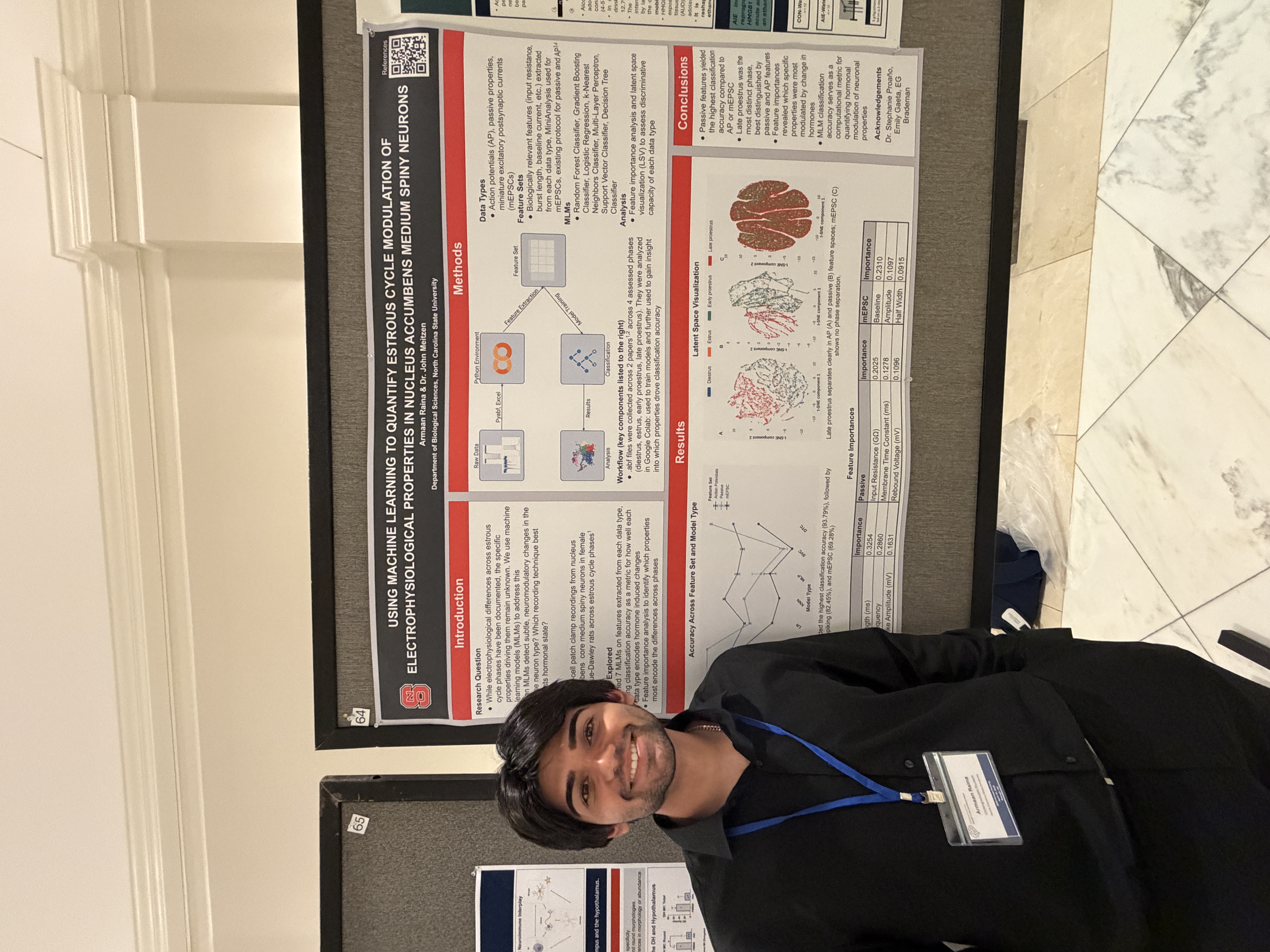 Full estrous phase classification poster at tSFN 2026
